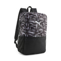 Puma Beta Backpack 079511