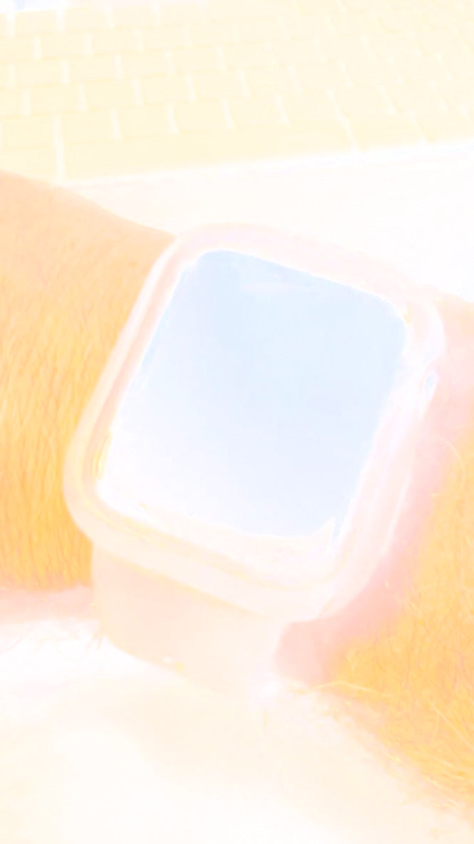 Cinturini + Copri Cassa GRADIENT per Apple Watch IWatch