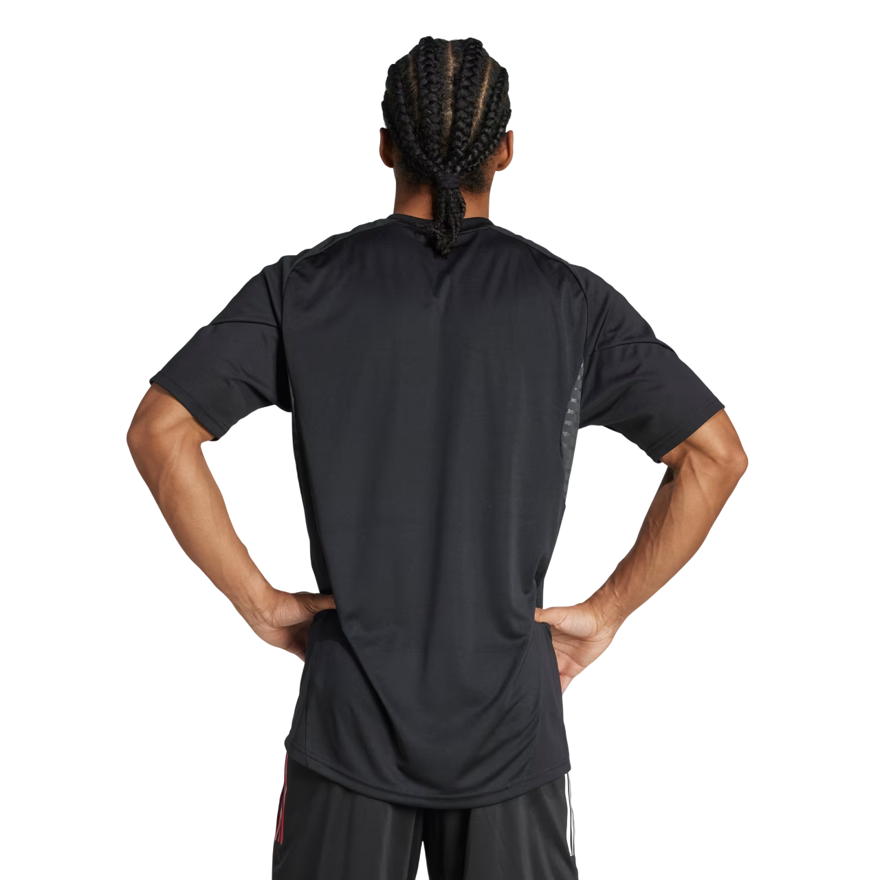 Completo Adidas x AFC Ajax