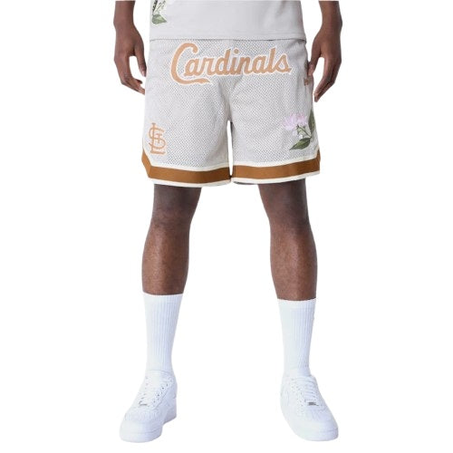 Completo New Era x St. Louis Cardinals MLB