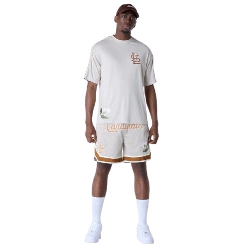 Completo New Era x St. Louis Cardinals MLB